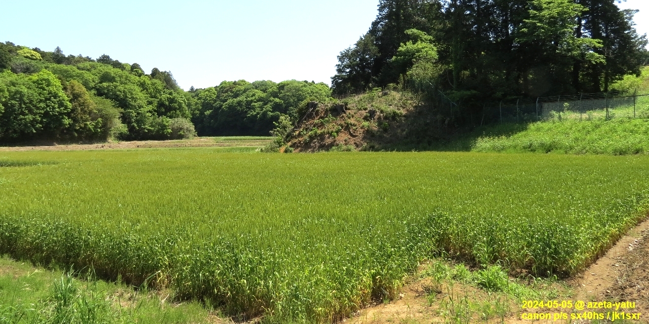 Mugi-batake